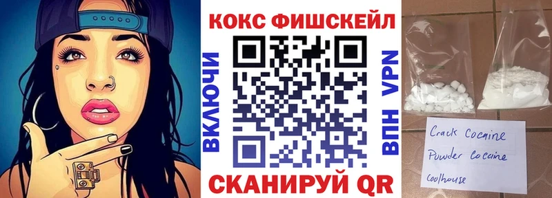 COCAIN Fish Scale  Купить закладки  Балаково